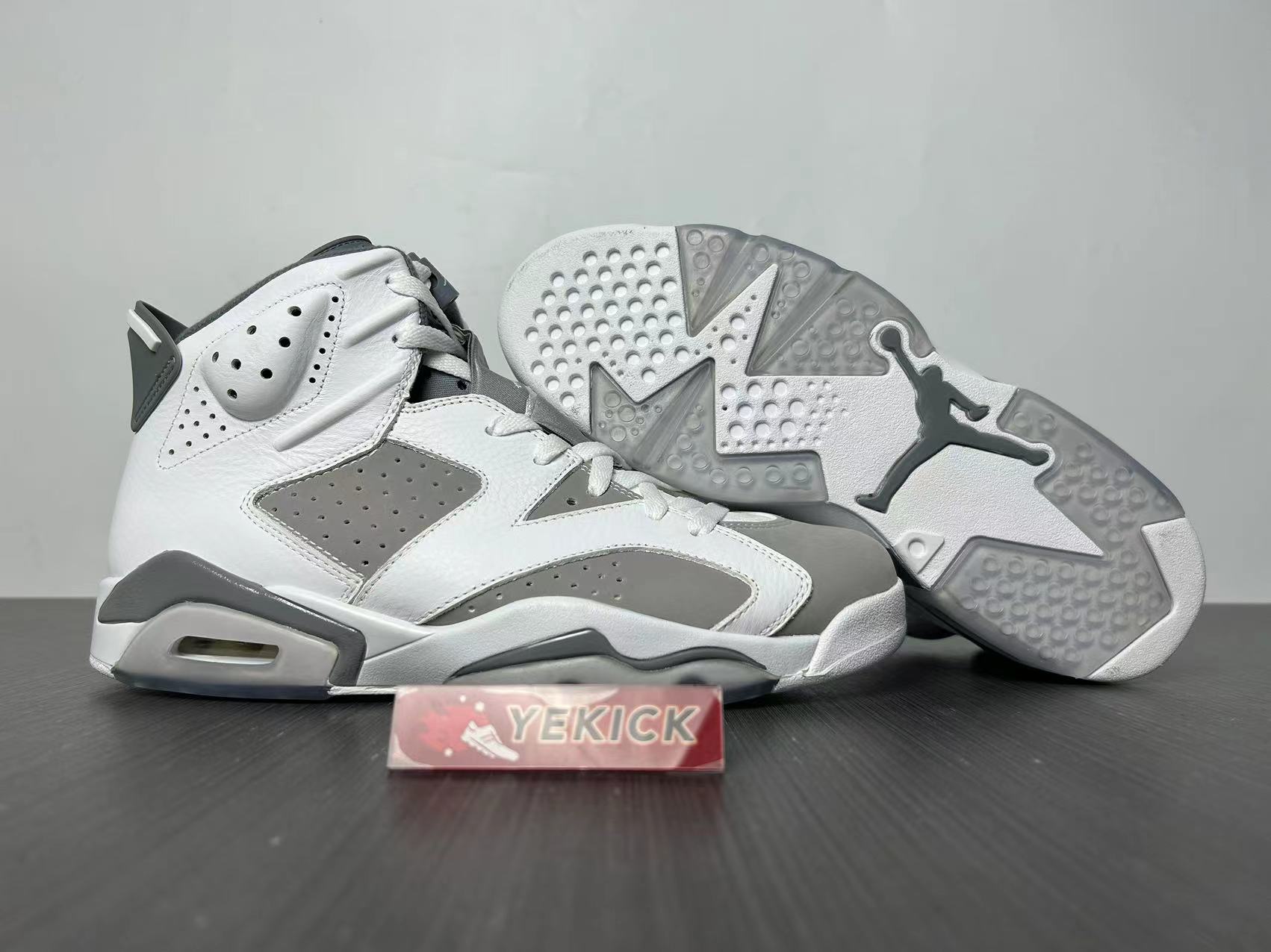 Jordan 6  Cool Grey CT8529-100