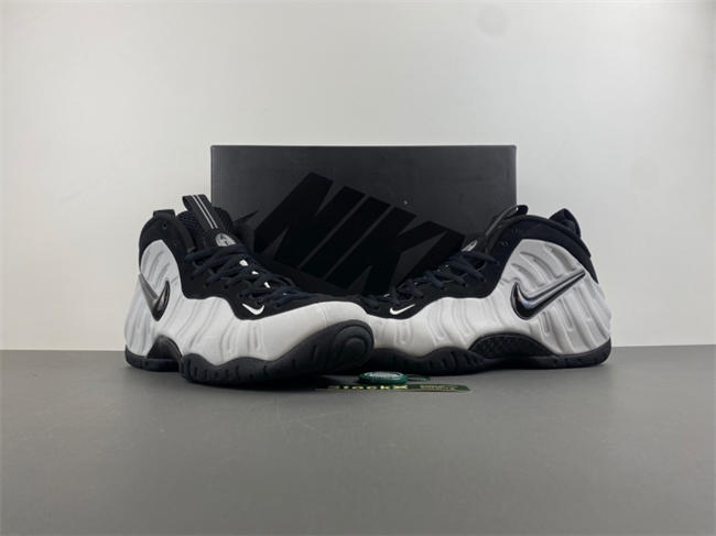 Nike Air Foamposite Pro “Wolf Grey” HF0794-001
